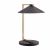 Настольный светильник Arteriors home MURDOCK LAMP, фото 6