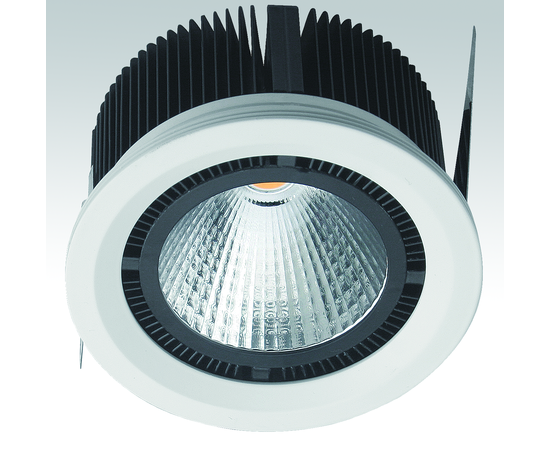 Встраиваемый светодиодный светильник downlight Orion Light Systems BRIGHT, фото 1