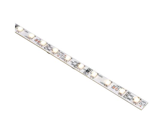 LED STRIPS 24V, фото 1