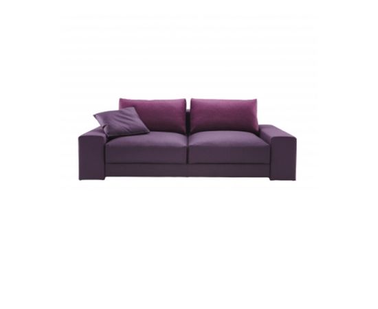 Ligne Roset EASY LIFE Small settee, фото 1