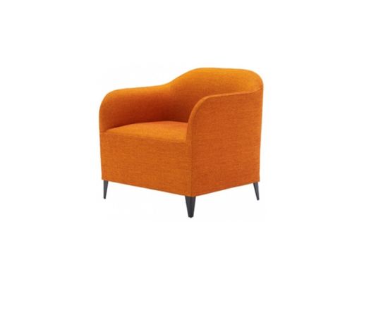 Ligne Roset LUCA SOFT Armchair, фото 1