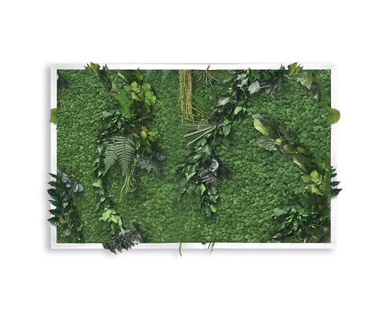 Декор &quot;зеленая стена&quot; Adriani &amp; Rossi Picture Frame Delux whit lichen with leaves, фото 1