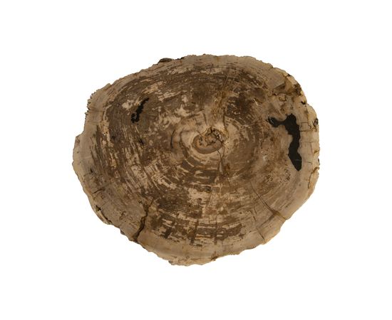 Кофейный столик Phillips Collection Petrified Wood Coffee Table, фото 4