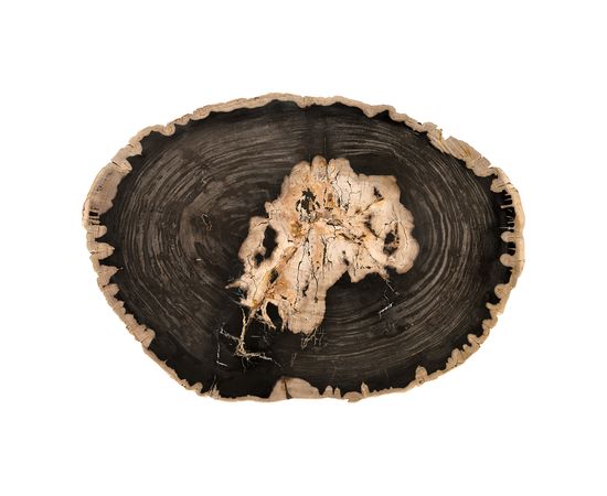 Кофейный столик Phillips Collection Petrified Wood Coffee Table, фото 5