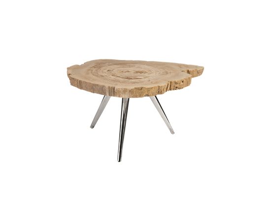 Кофейный столик Phillips Collection Petrified Wood Coffee Table, Stainless Steel Legs, фото 2