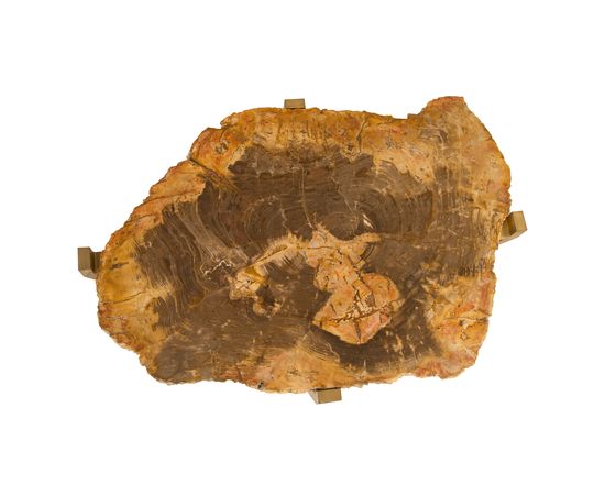 Журнальный столик Phillips Collection Petrified Wood Coffee Table, фото 2